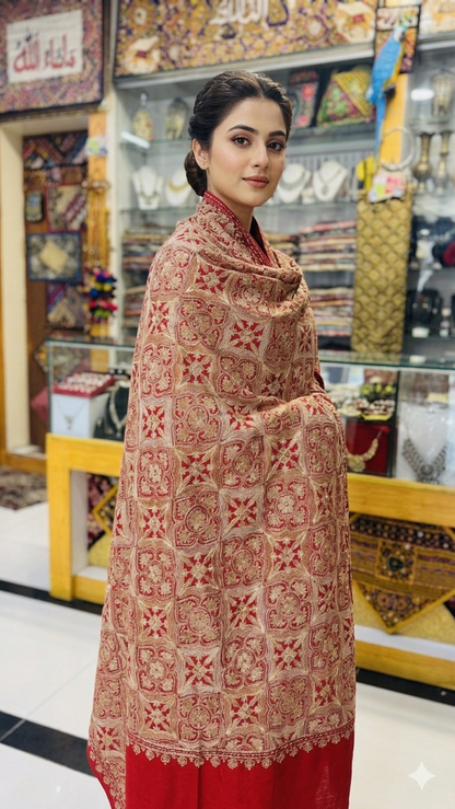 Pure Pashmina and Zaari work shawls